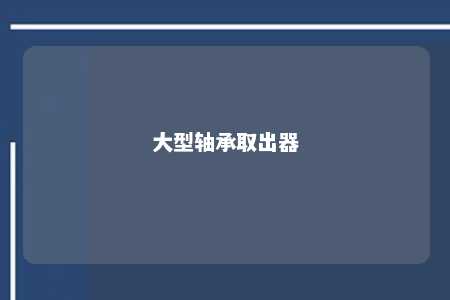 大型轴承取出器 