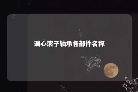 调心滚子轴承各部件名称 